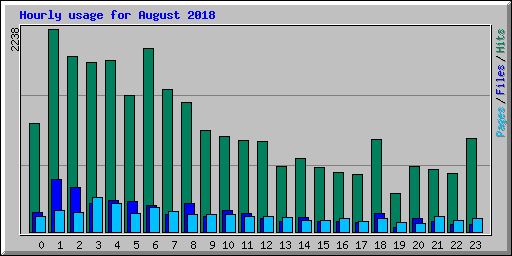 Hourly usage for August 2018
