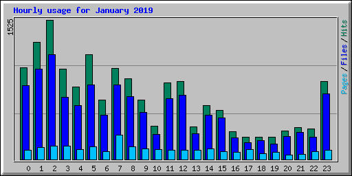 Hourly usage for January 2019